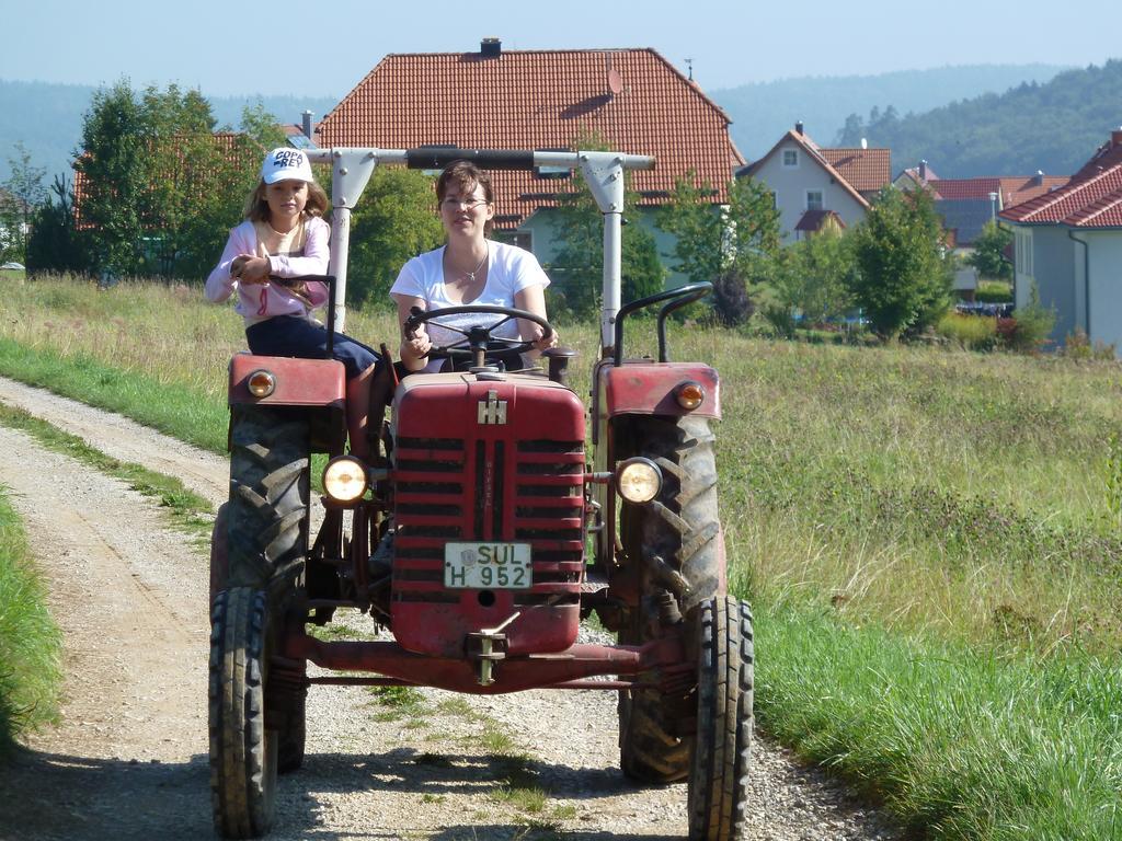 Landgasthof Zum Elsabauern Königstein in der Oberpfalz Exteriör bild